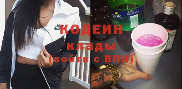 дурь Алексин