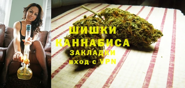 дурь Алексин