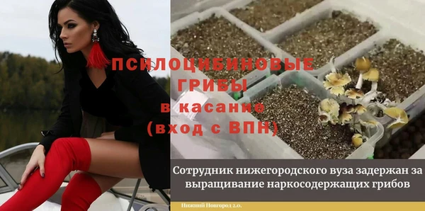 соль ск Алексеевка