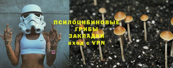 дурь Алексин