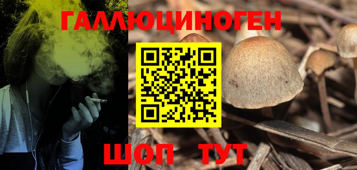 Галлюциногенные грибы Cubensis Усинск